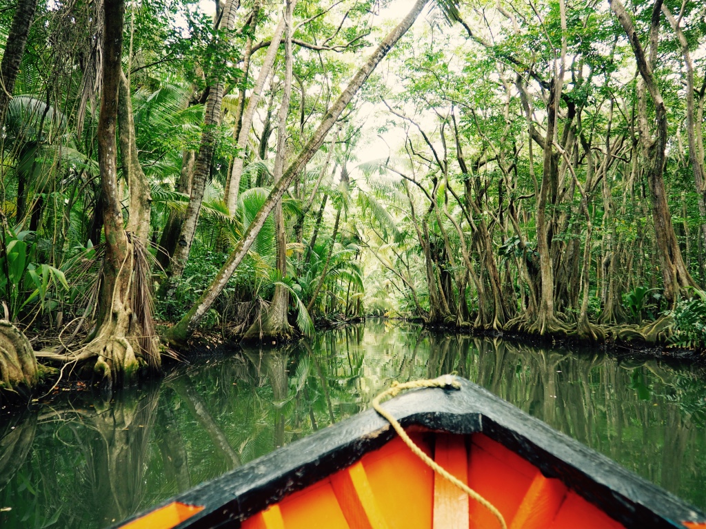 Canoe Ride through Dominican Lagoons