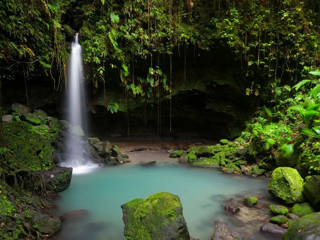 Emerald Pool on Dominica Island